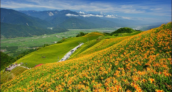 富里鄉